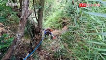 怎麼上去的？澳洲女婿受困峭壁 救援人員強攀海岸山脈