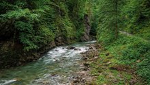 Have You Seen Breitachklamm Like This?
