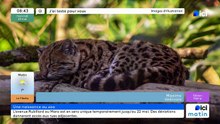 J'ai testé pour vous les coulisses d'une naissance au Spaycific'Zoo