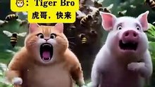 The Orange Cat Did This Just to Eat 😹🍗 | Funny Cat Moment
