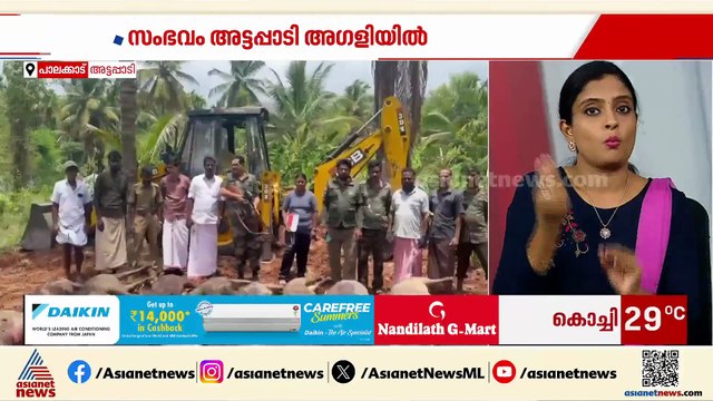 അട്ടപ്പാടിയിലെ അഗളിയില്‍ 17 കാട്ടുപന്നികളെ വെടിവെച്ച് കൊന്നു