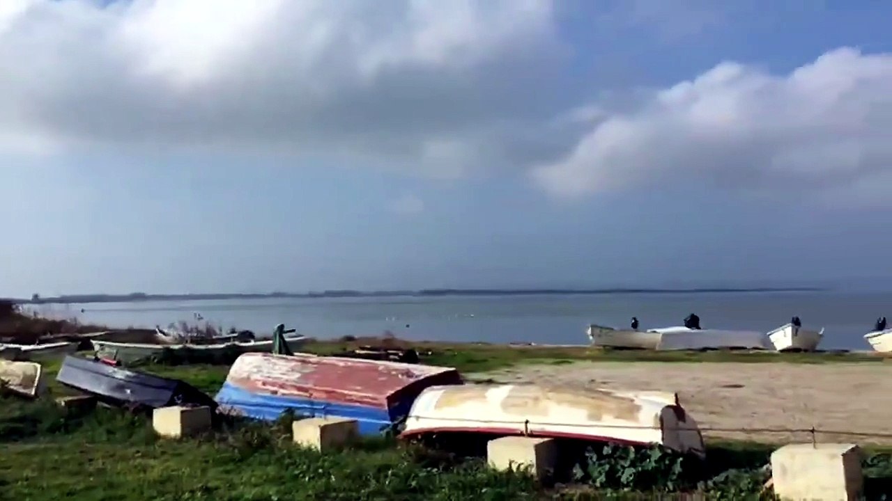 Cabras, pescatori in rivolta: l'abbattimento dei cormorani promesso dalla Regione ancora non è partito
