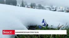 Karadeniz'de kar etkili oldu