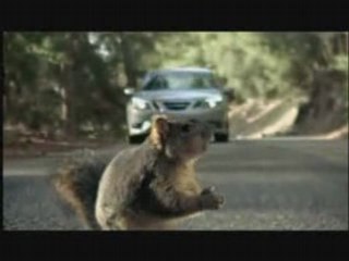 Pub Bridgestone (Ecureuil)