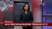 Terekam CCTV! 3 Pencuri Gasak Sound System dan Burung Murai di Klaten