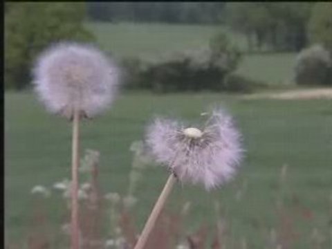 Politiques énergétiques dans le pays de Mauge