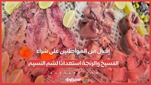 إقبال من المواطنين على شراء الفسيخ والرنجة استعدادًا لشم النسيم