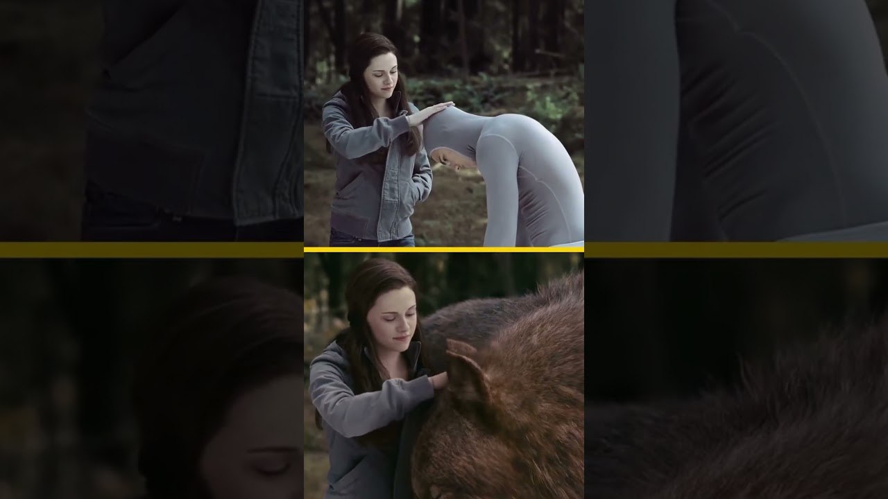 Taylor Lautner a vraiment donné de sa personne pour le rôle de Jacob dans Twilight...