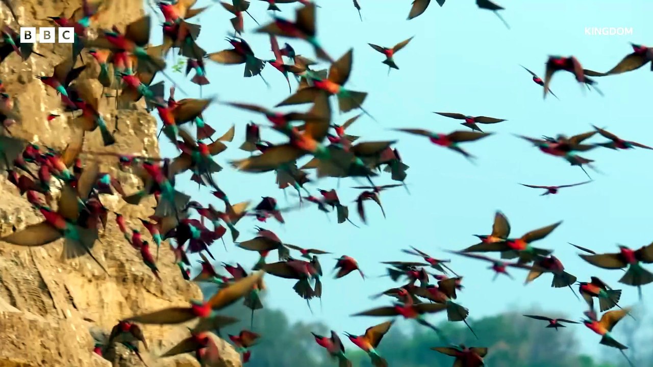 Kingdom | Trailer – BBC