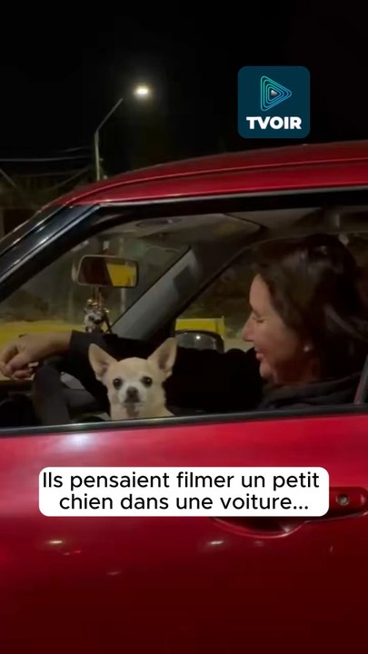 C’est un troupeau à ce niveau là ! 😂😂