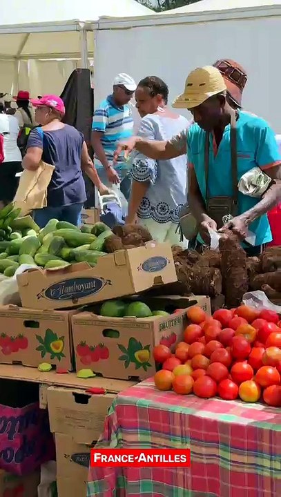 [MARTINIQUE] Ambiance foire de Rivière-Pilote 2026