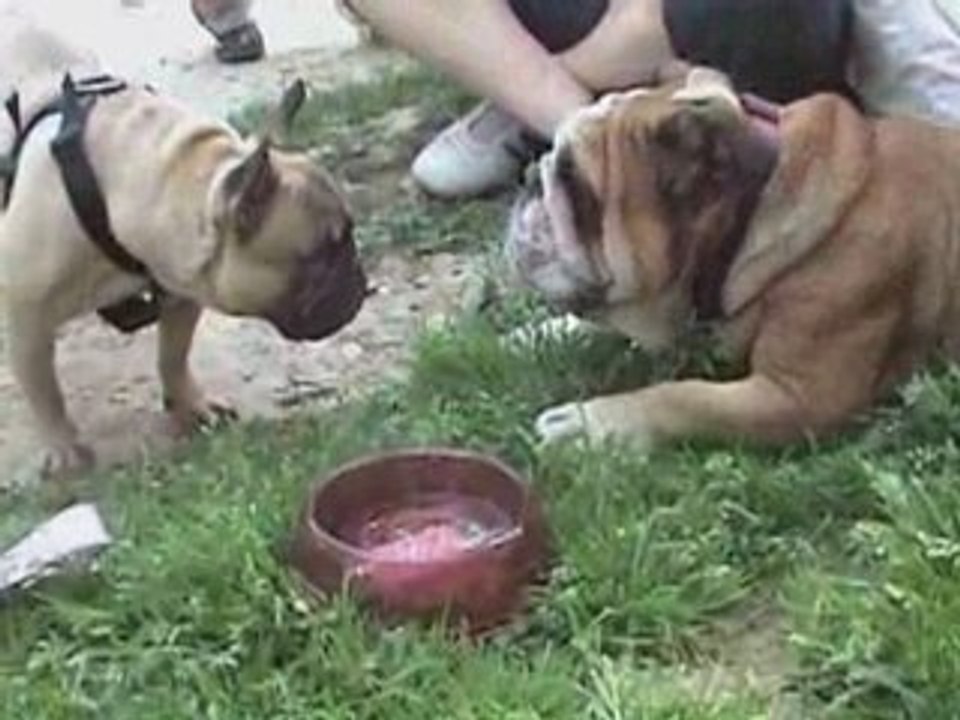 [VIDEOMONTAGE] Yuna est belle !