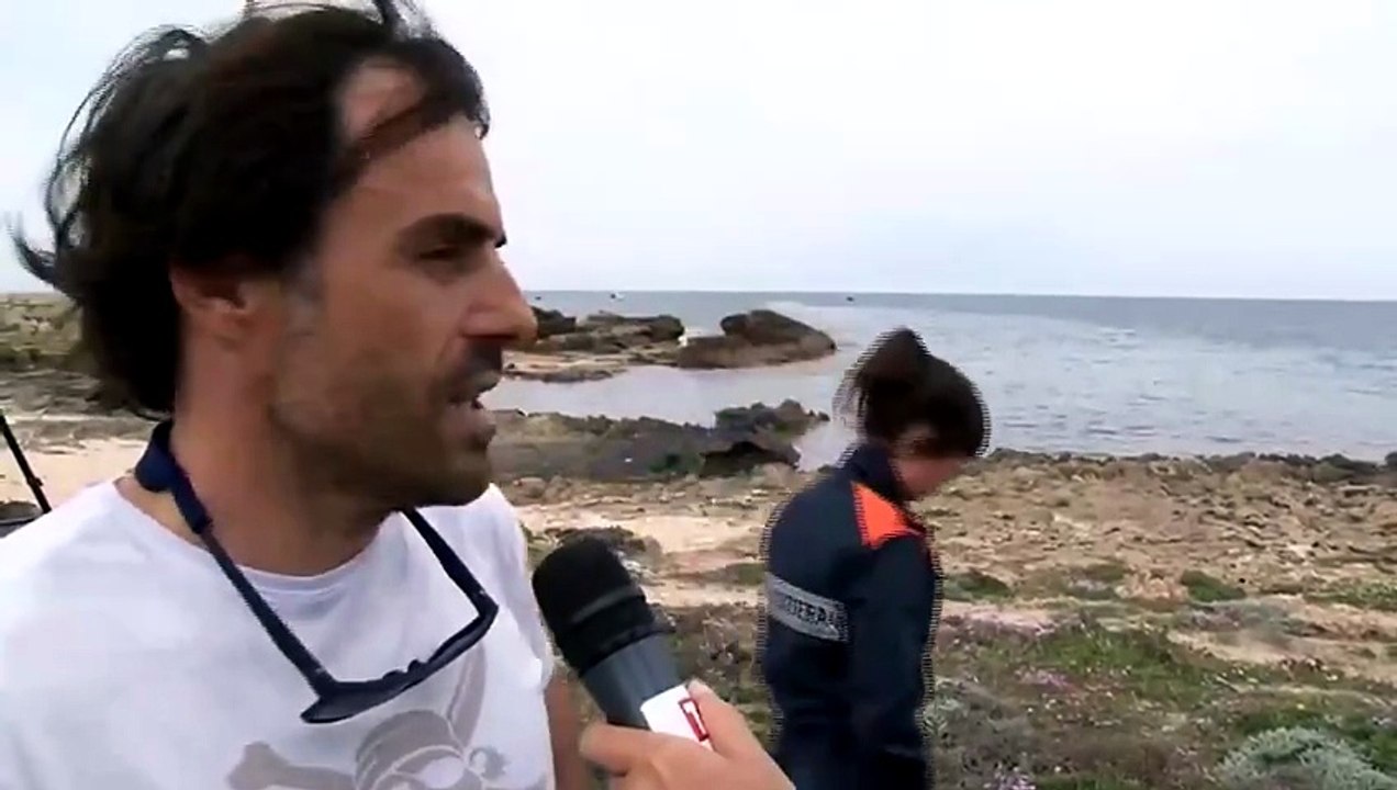 CABRAS, RIMOSSO DA PUNTA MAIMONE IL CAPODOGLIO SPIAGGIATO NEL SINIS