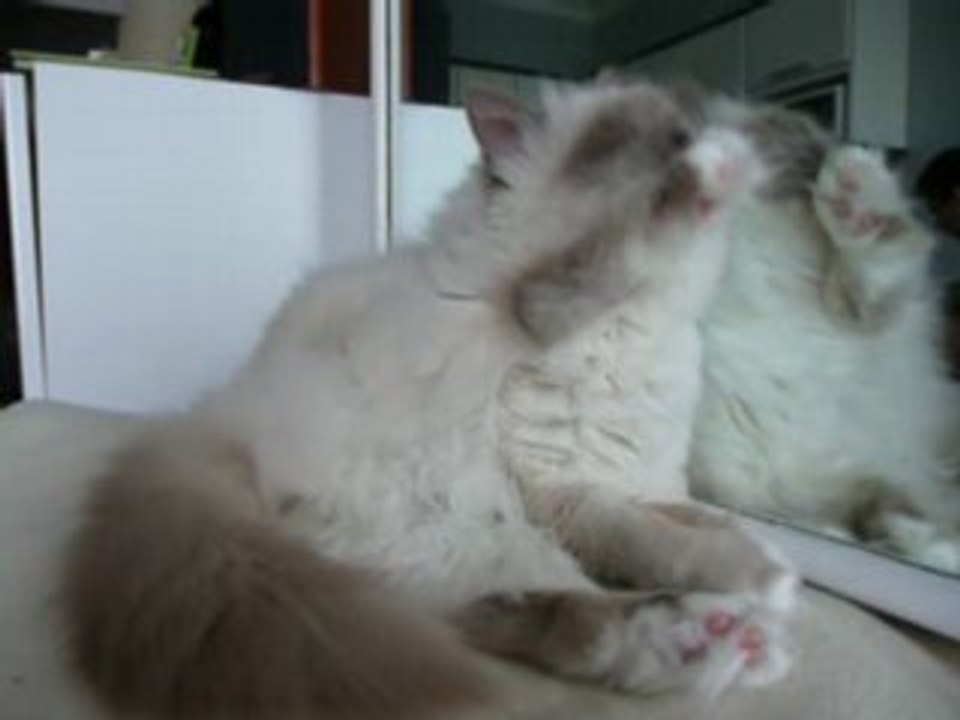 La toilette des 6 ans