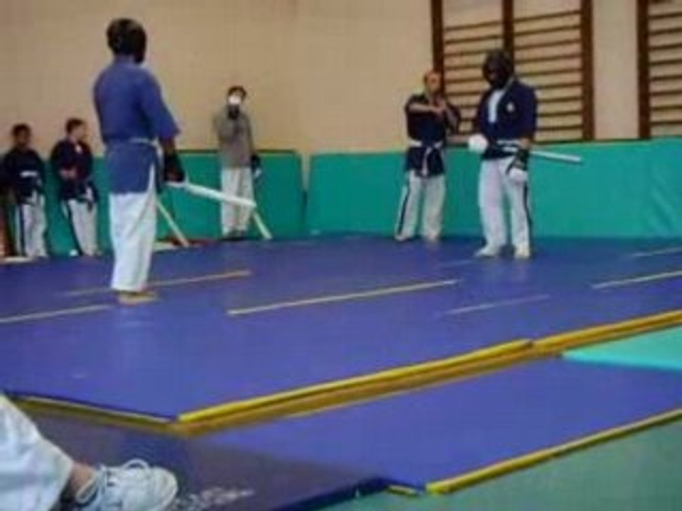 demo de yoseikan budo lyon