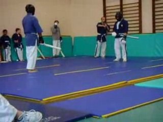 demo de yoseikan budo lyon
