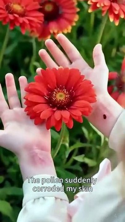 The Merman Prince's Forbidden Bride Full