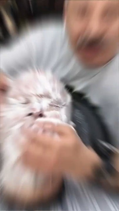 ........