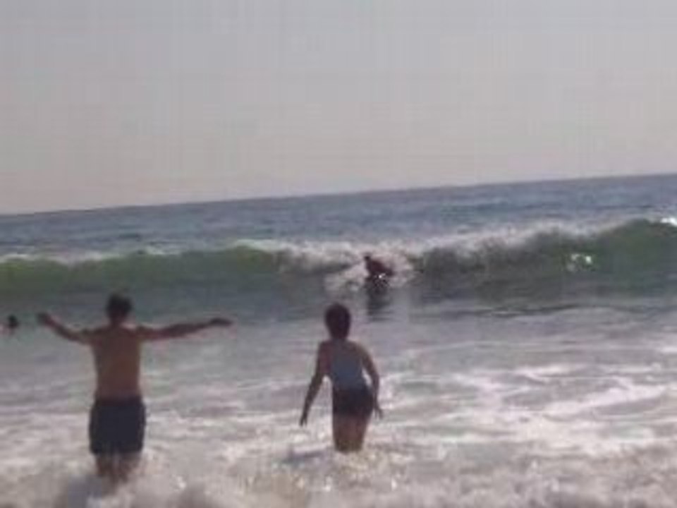 Oleron 2007
