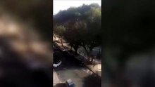 "Venite, c'è una rissa in piazza del Carmine": il video dell'aggressione agli agenti a Cagliari