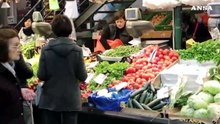Un'allerta alimentare ogni giorno, 80% da importazioni