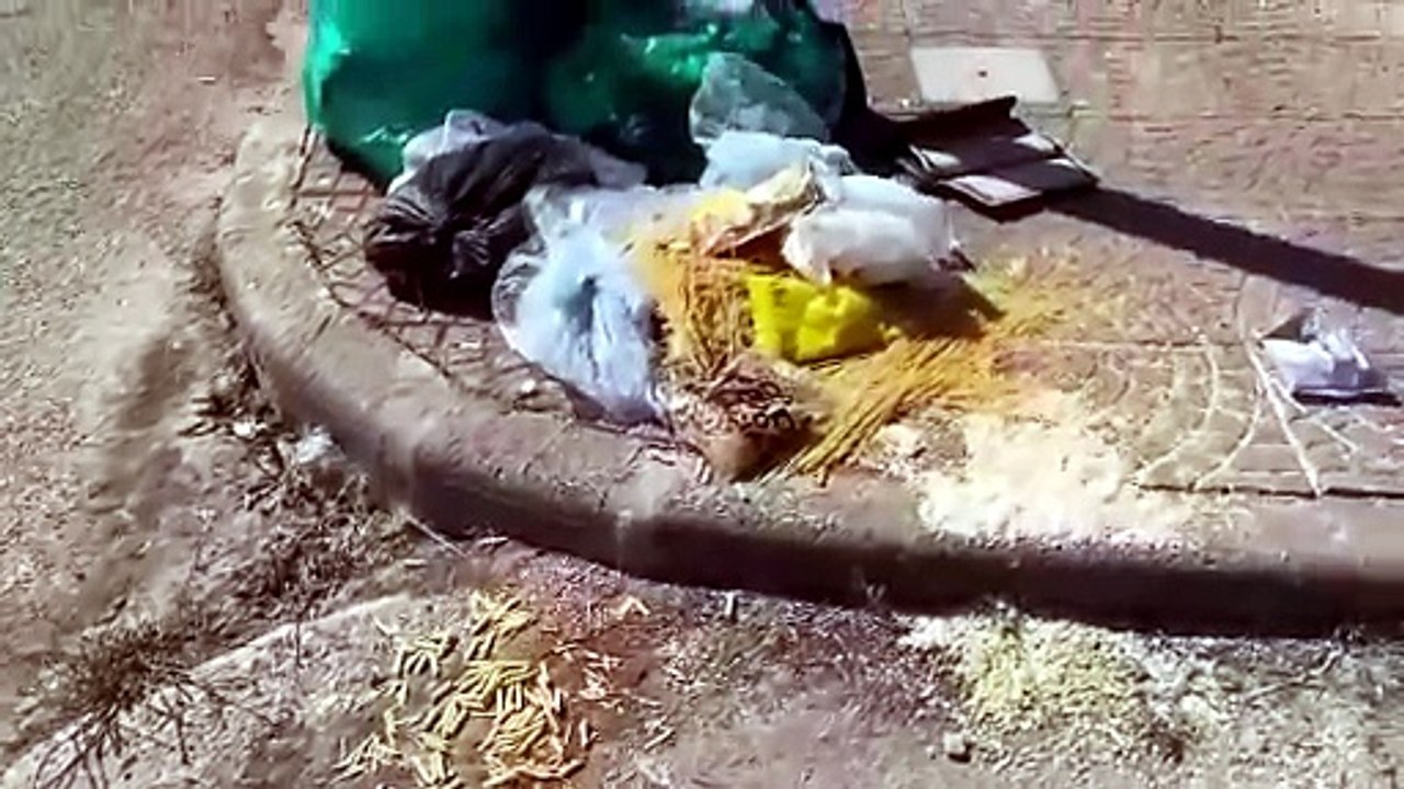 Porto Torres, la pasta della Caritas finisce in mezzo alla strada