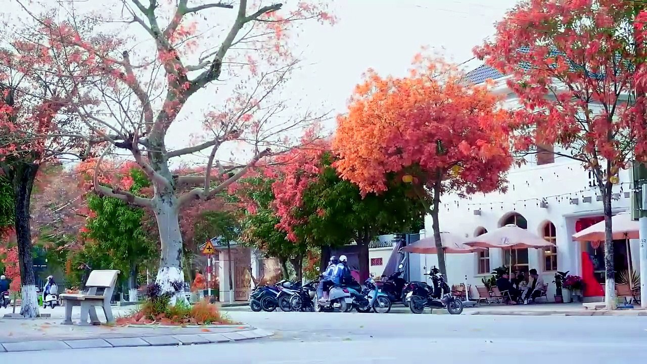 Đường Tím Bằng Lăng - Giọng Ca Nhạc Trữ Tình Ngọt Ngào Giữa Phố Ai Nghe Cũng Mê - Thanh Hà