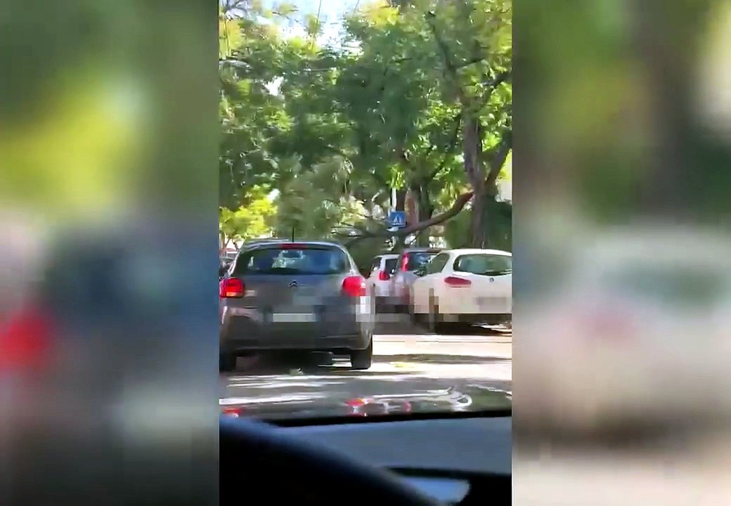 Forte vento a Cagliari, disagi e alberi abbattuti