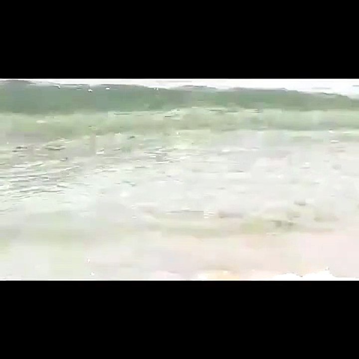 Arbus, invasione di meduse a Gutturu Flumini