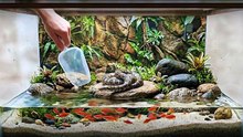 I raised world's biggest snake as a PET… You can’t believe what happened Next