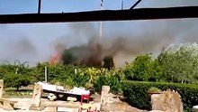 Fiamme alle porte di Alghero, il pittore Nieddu: "Momenti di grande paura"