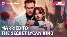 Divorced, Now A Lycan Princess - Full HD Movie