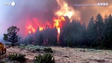 Incendi negli Usa, boschi in fiamme nella West Coast