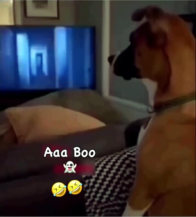 You scared me😱