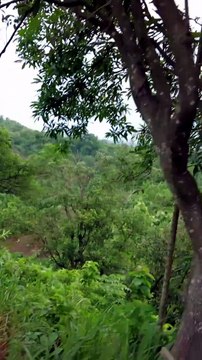 Experiencing Tranquility and Sustainability Eco Villa Resort in Bandarban 06