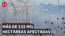 600 combatientes contra el infierno: Más de 115,000 hectáreas afectadas por el fuego
