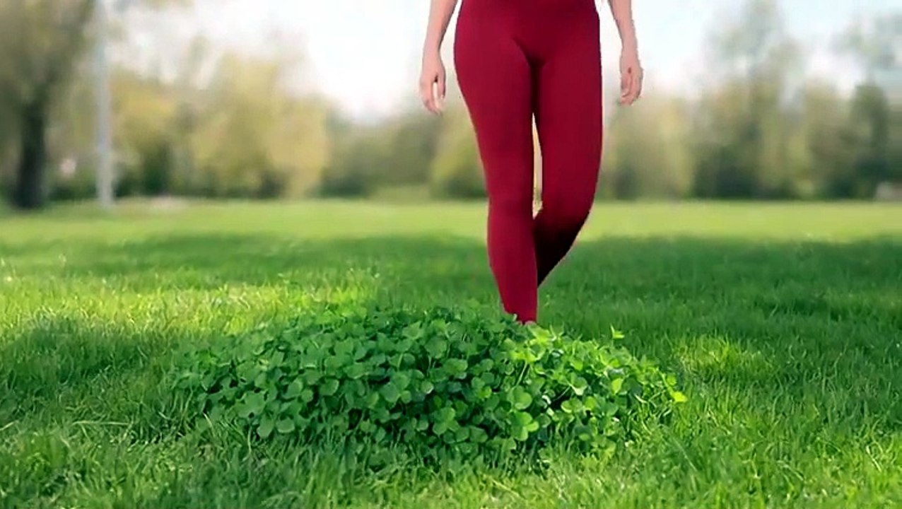 four-leaf clover
