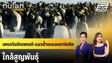 เพนกวินจักรพรรดิ-แมวน้ำขนแอนตาร์กติก ใกล้สูญพันธุ์ | ทันโลก EXPRESS | 12 เม.ย. 69