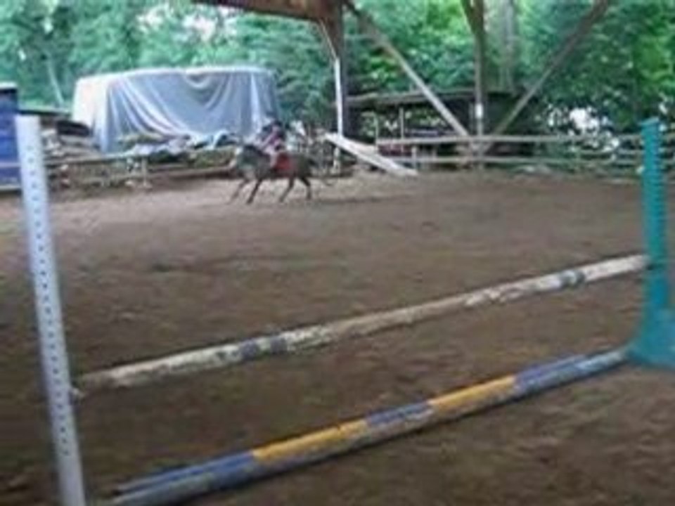 paprika et moi en saut