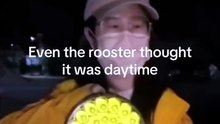 Even the rooster thought's it was a daytime 🤣🤣🤣🤣