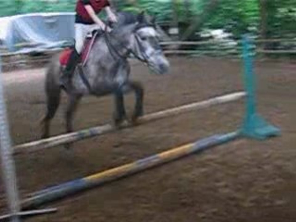 paprika et moi en saut