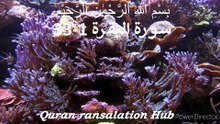 surah al baqara | ayat 1-30 | Quran with urdu transalation  | part 1 | 2026