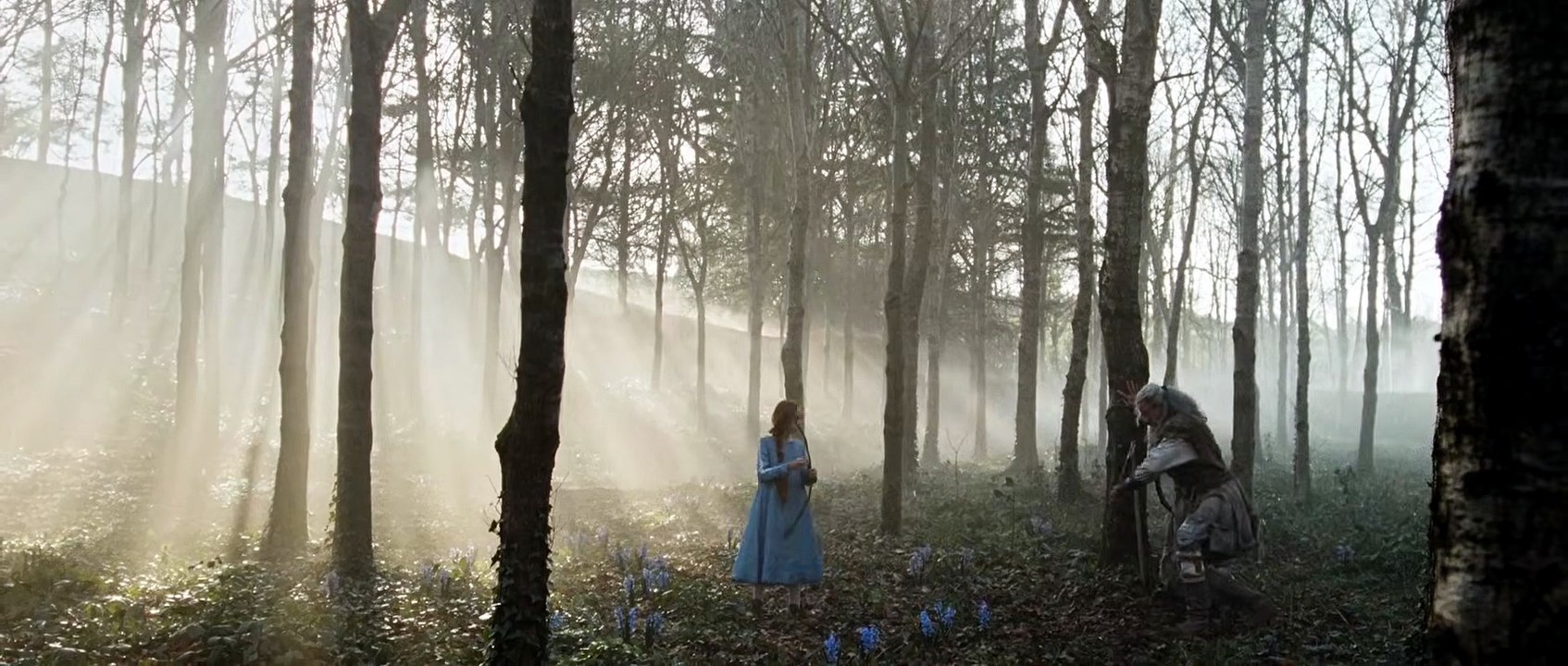 THE DEATH OF ROBIN HOOD Film