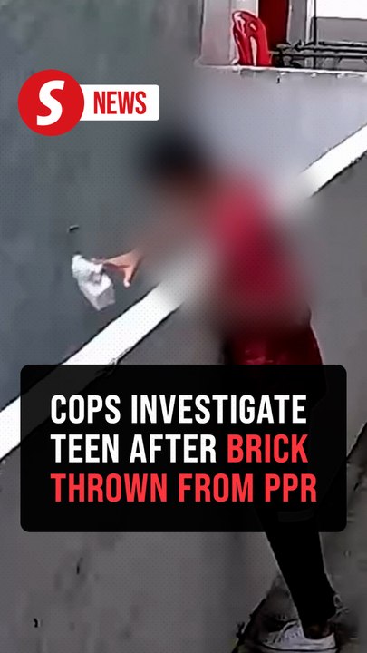 Cops quiz teen over brick thrown from 13th floo...
