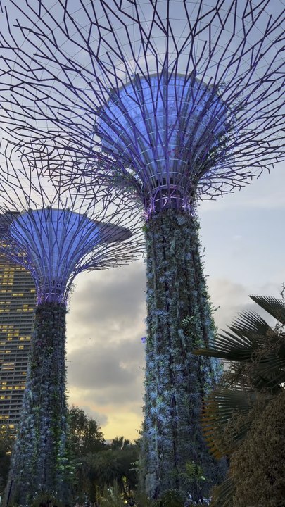 Singapour 🇸🇬