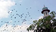 Birds flying over the tomb | Quotes | World Explorer
