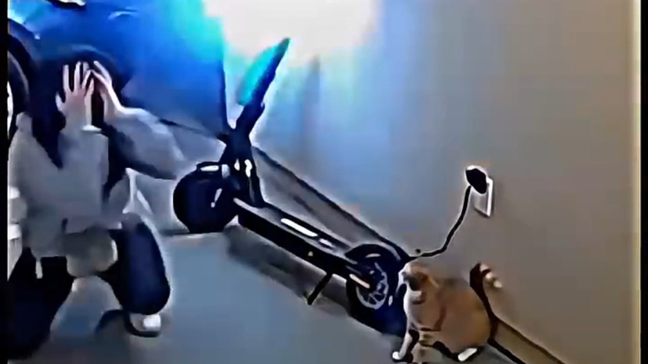 TOP CAT HERO CLIPS