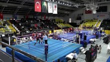 Celal Er 23 Yaş Altı ve Elit Büyükler Türkiye Muaythai Şampiyonası sona erdi | Ajansspor | AA