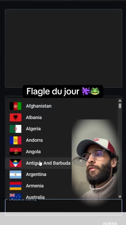 Tu l’as eu au bout de combien d’essai ? #quizz #flagle #geographie