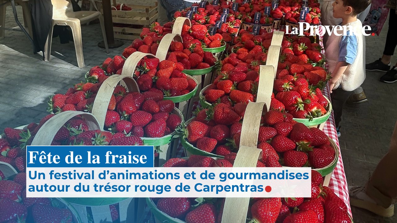 Fête de la fraise : Un festival d’animations et  de gourmandises autour du  trésor rouge de Carpentras